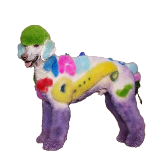 Animal Dog